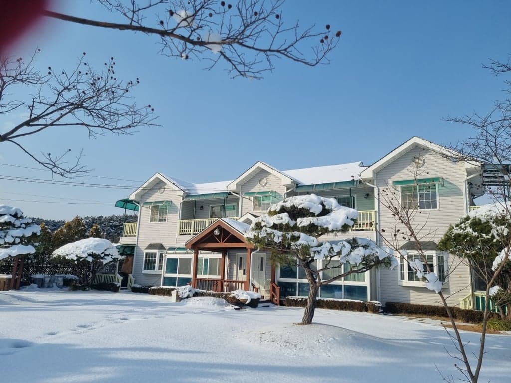 방사진1